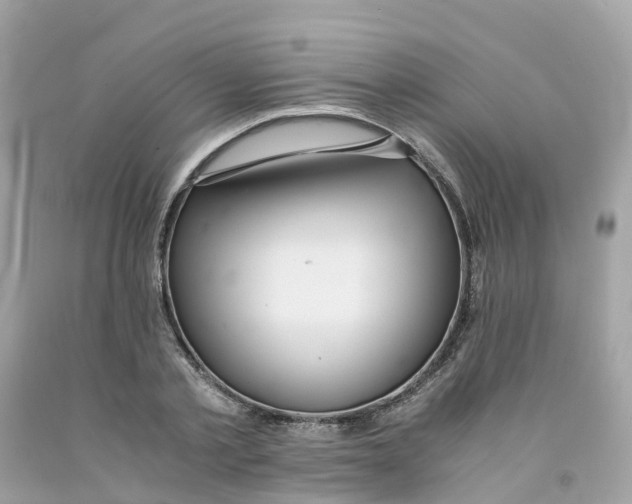 X0000091100789200709041322