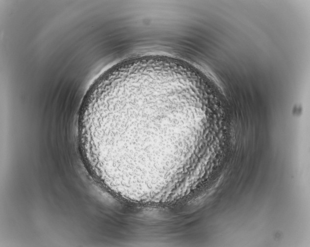 X0000091100790200709041322