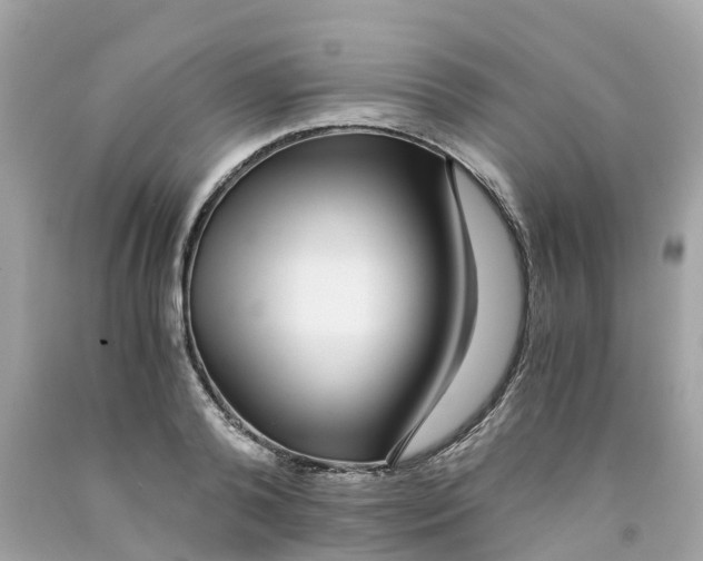 X0000091100792200709041322