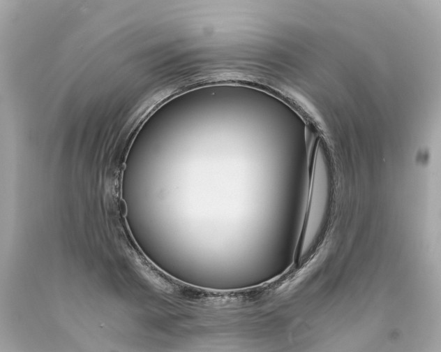 X0000091100793200709041322