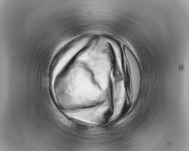 X0000091100795200709041322