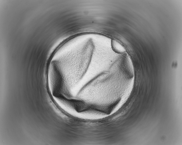 X0000091100796200709041322