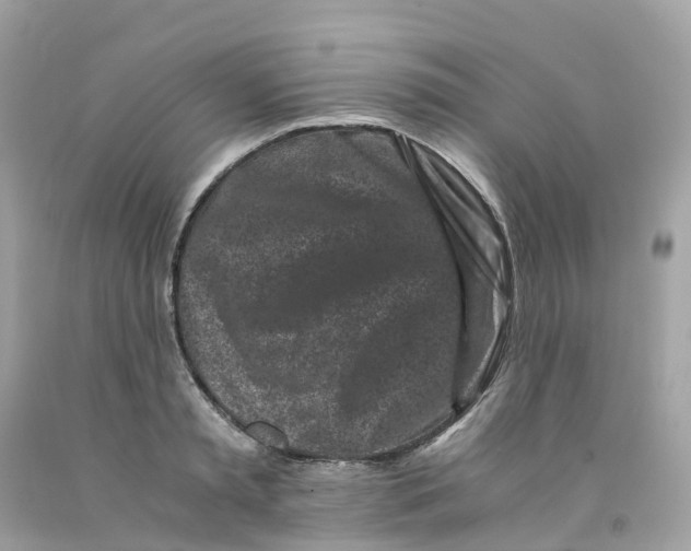 X0000091100797200709041322