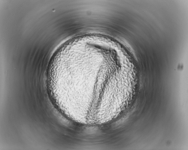 X0000091100798200709041322