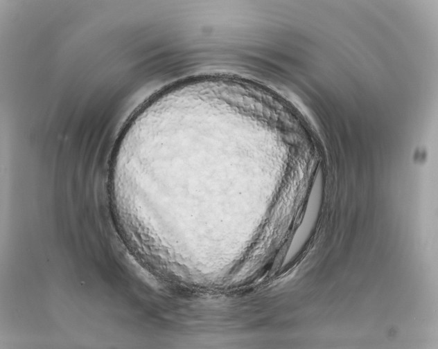 X0000091100799200709041322