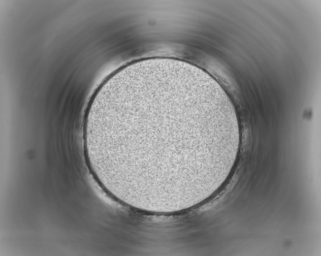 X0000091100800200709041322