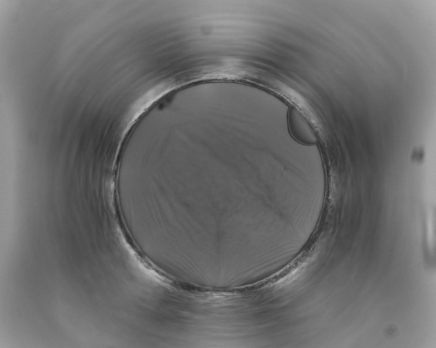 X0000091100802200709041322