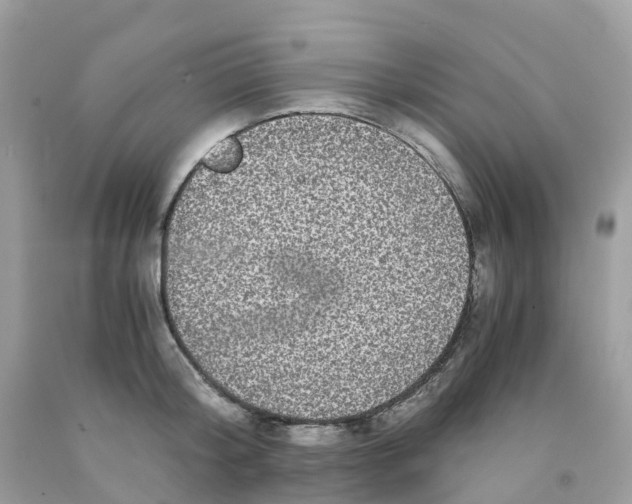 X0000091100804200709041322