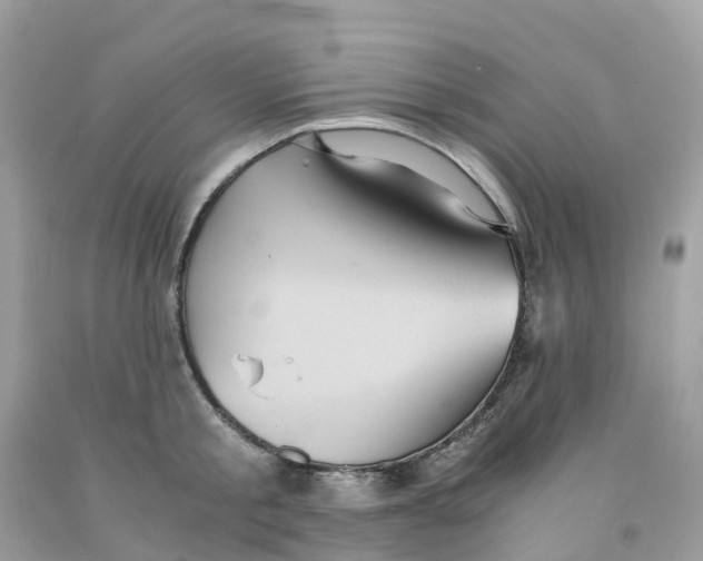 X0000091100805200709041322