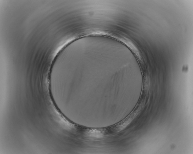 X0000091100806200709041322