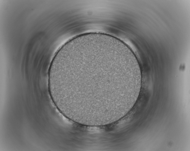 X0000091100807200709041322