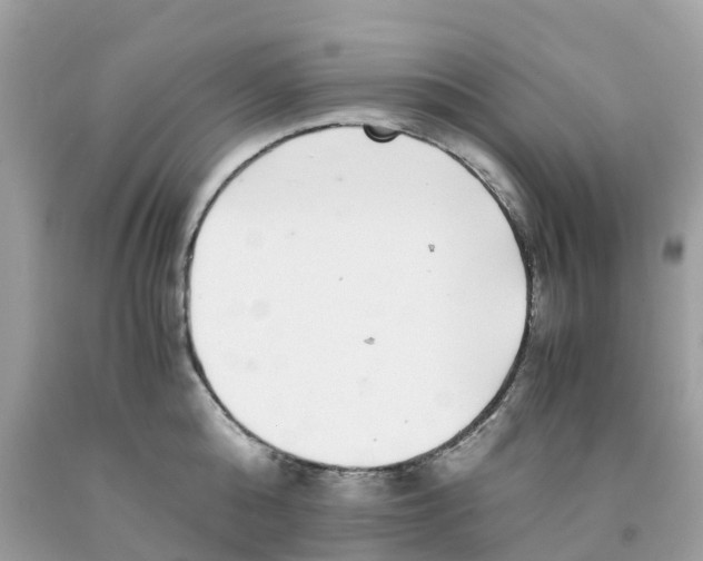 X0000091100808200709041322