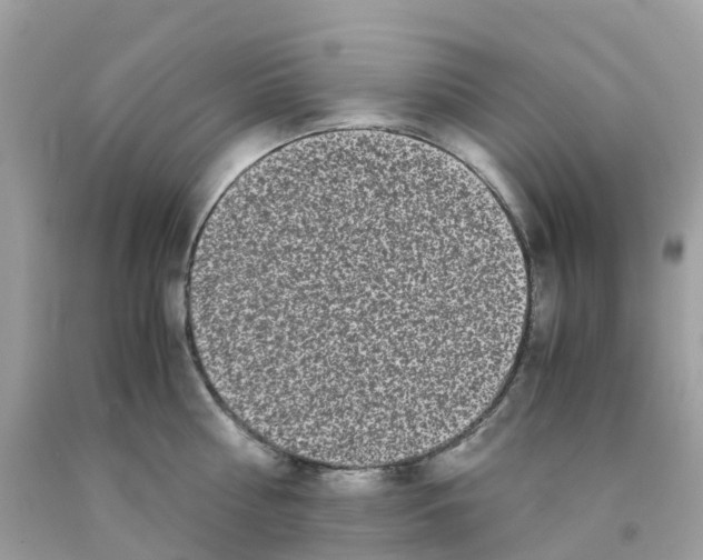 X0000091100810200709041322