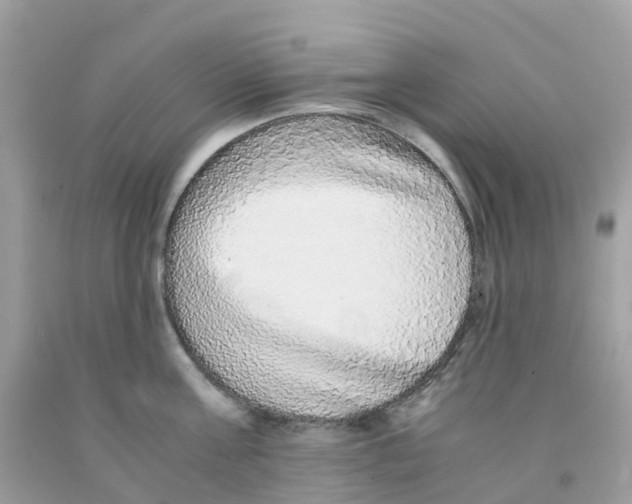 X0000091100811200709041322