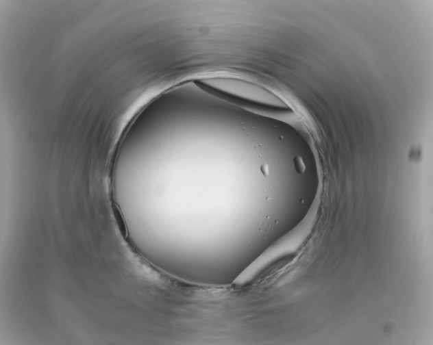 X0000091100813200709041322