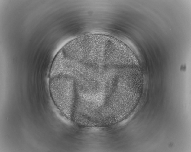 X0000091100814200709041322