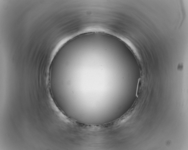 X0000091100815200709041321