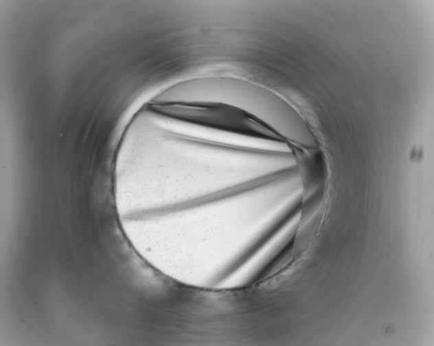 X0000091100816200709041321