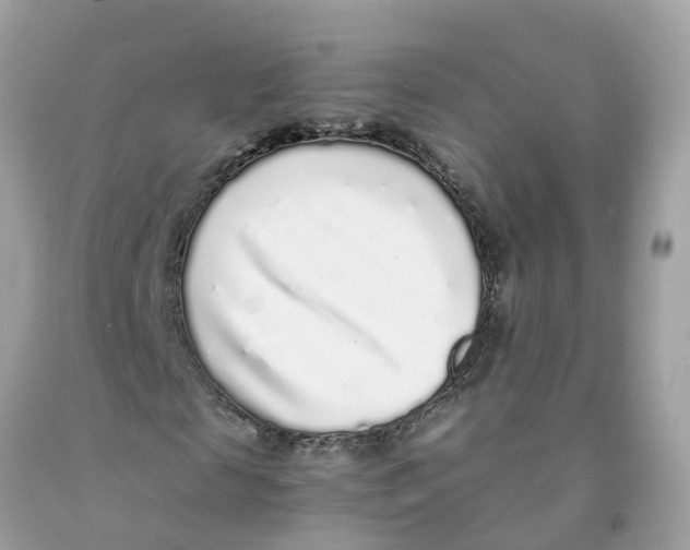 X0000091100817200709041321