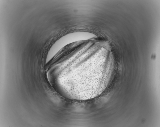 X0000091100818200709041321