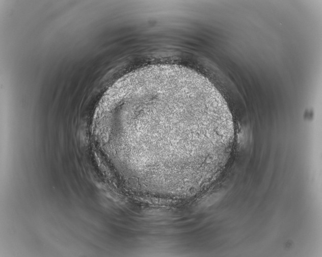 X0000091100819200709041321