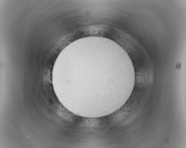 X0000091100820200709041321