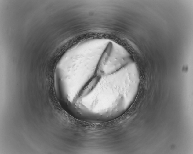 X0000091100821200709041321