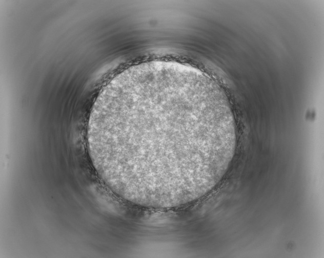 X0000091100824200709041321