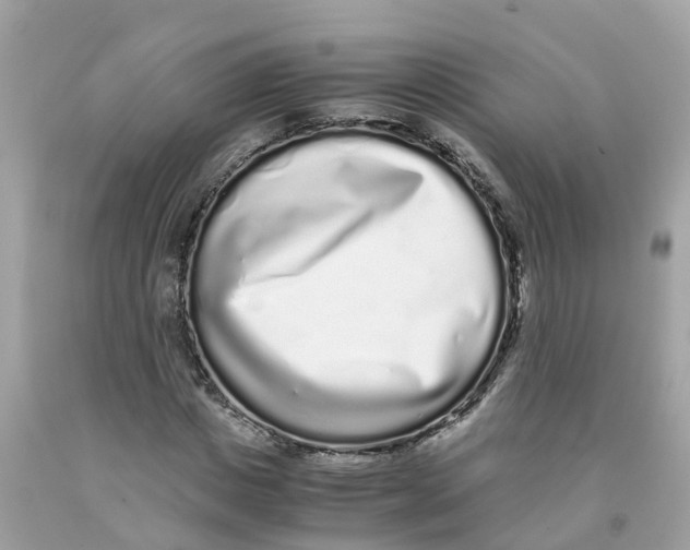 X0000091100825200709041321