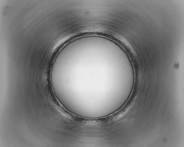 X0000091100826200709041321