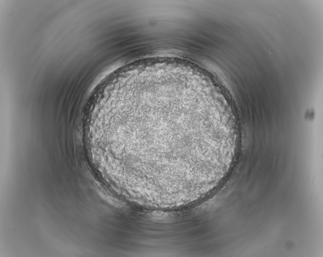 X0000091100827200709041321