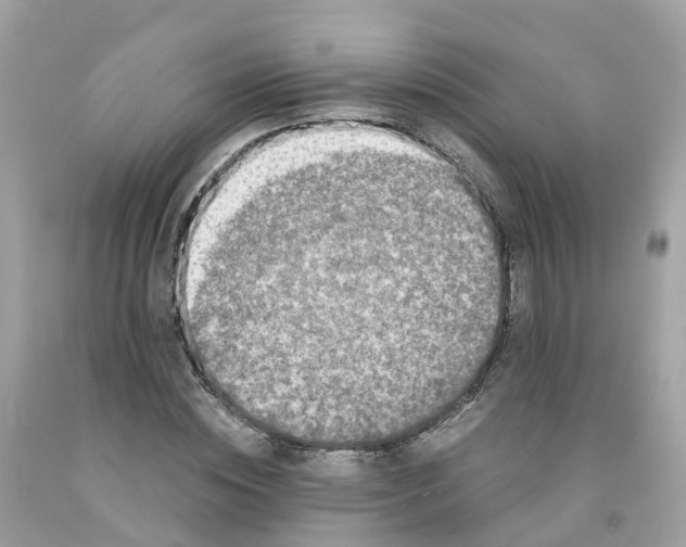 X0000091100828200709041321