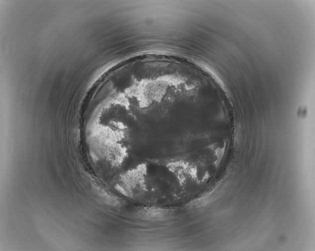 X0000091100829200709041321