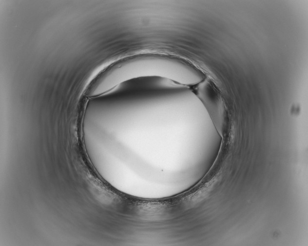 X0000091100830200709041321