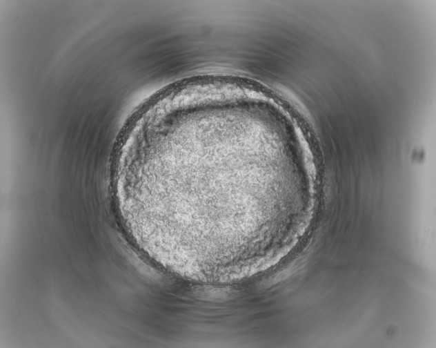 X0000091100831200709041321