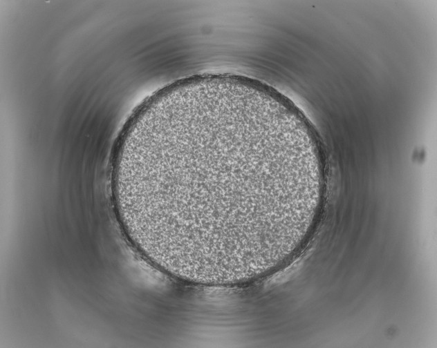 X0000091100832200709041321