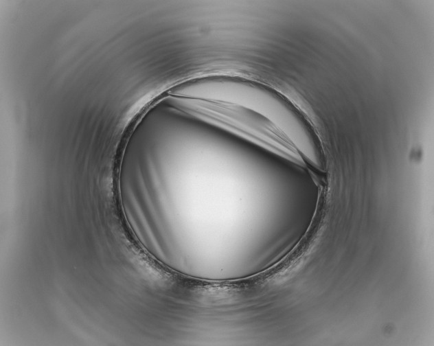 X0000091100834200709041321