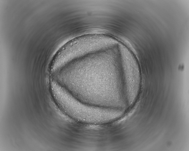 X0000091100835200709041321