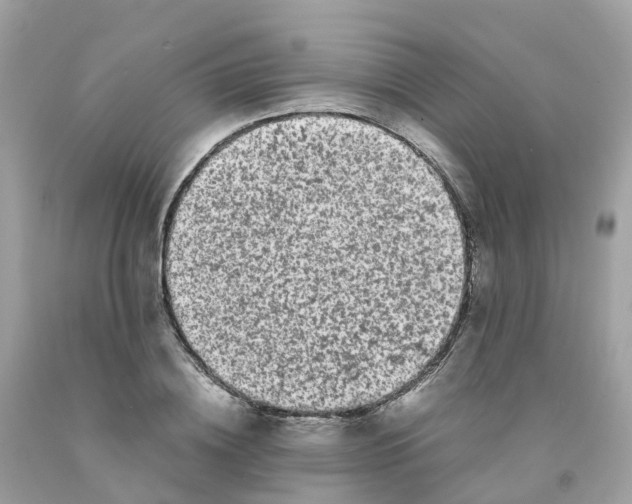 X0000091100836200709041321