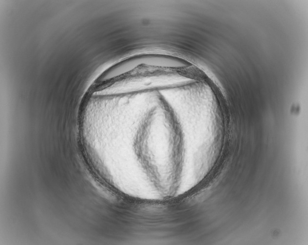 X0000091100837200709041321