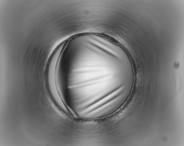 X0000091100838200709041321