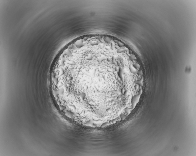 X0000091100839200709041321