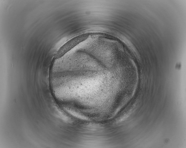 X0000091100842200709041321