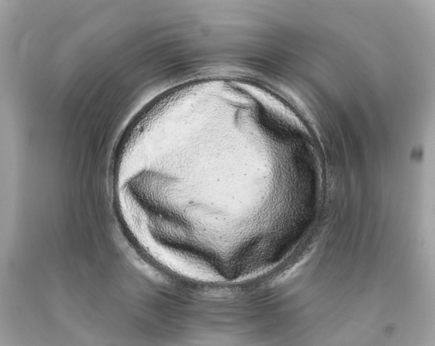 X0000091100843200709041321