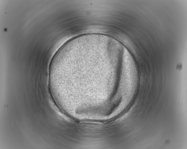 X0000091100844200709041321