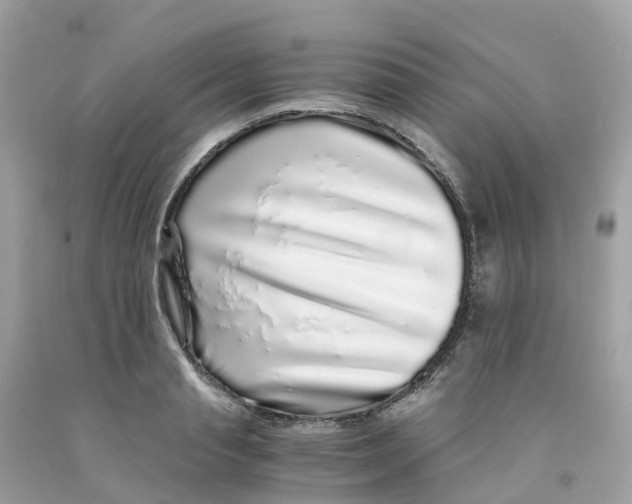 X0000091100845200709041321