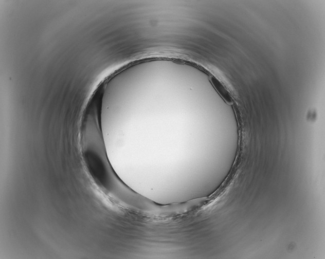 X0000091100846200709041321