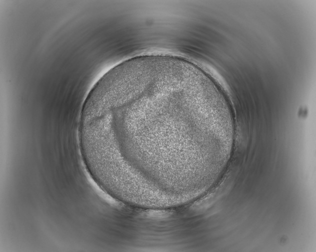 X0000091100847200709041321