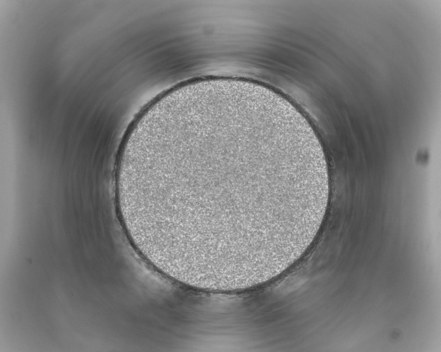 X0000091100848200709041321