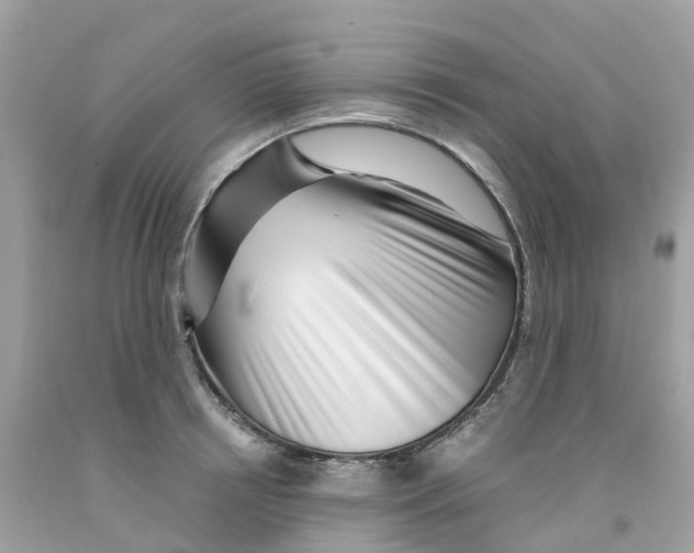 X0000091100850200709041321